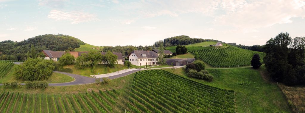 Weingut im Panorama - Bild: Simon Oberhofer