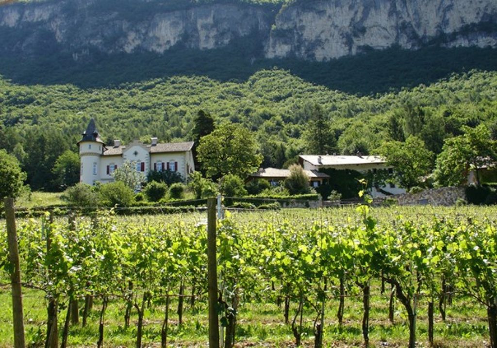 Weingut Mazzon in Südtirol