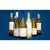 Blanco-Favoriten  4.5L Weinpaket aus Spanien