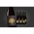Zalea Shiraz 2021  7.5L 14.5% Vol. Trocken Weinpaket aus Spanien